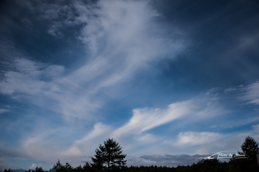 NIKON D810-20150920-070231-0