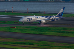NIKON D7200-20150808-163733-0