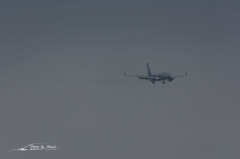 NIKON D7200-20150830-120643-0