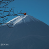 20151121-100003-0-E-M5MarkII