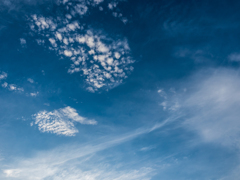 E-M5MarkII-20150725-052913-0