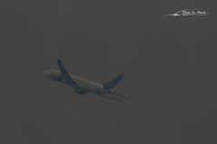NIKON D810-20151010-114730-0
