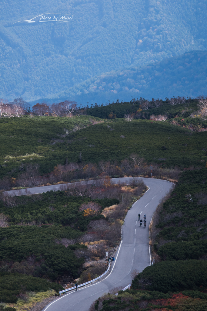 NIKON D810-20151004-111706-0