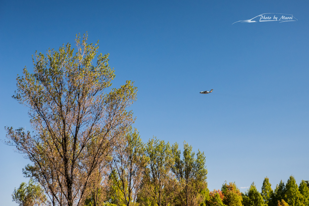 20151103-111745-0-NIKON D810