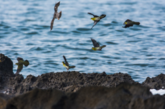 NIKON D7200-20150725-062617-0
