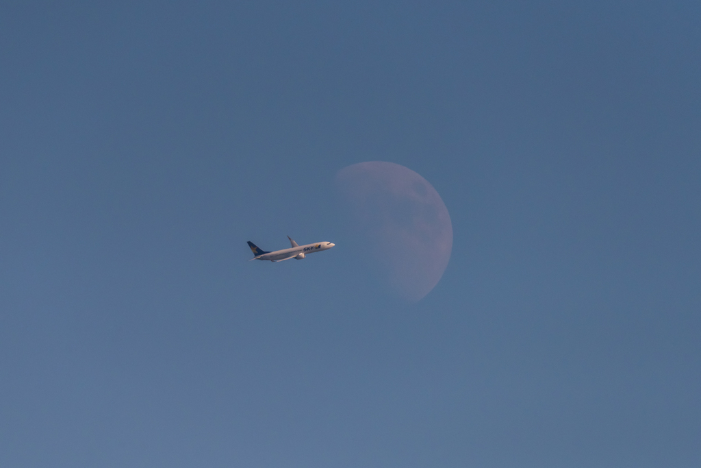 20151220-132602-0-NIKON D810