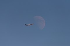 20151220-132602-0-NIKON D810