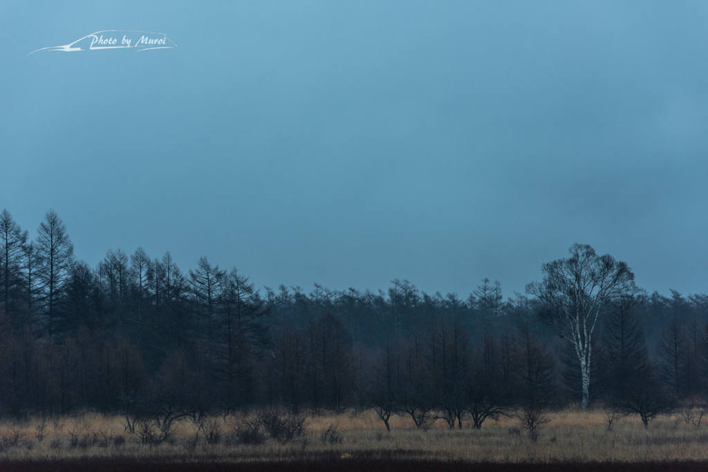 20151108-060852-0-NIKON D810