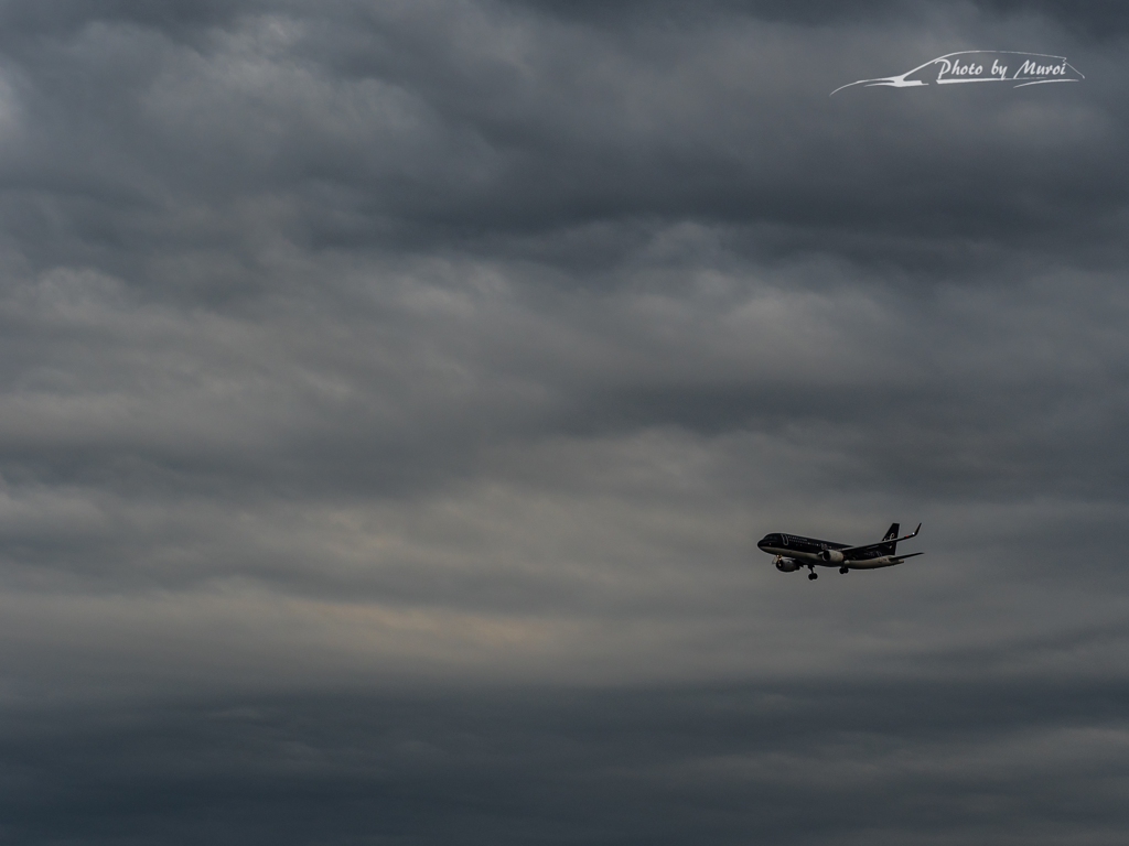 20151129-145152-0-E-M5MarkII