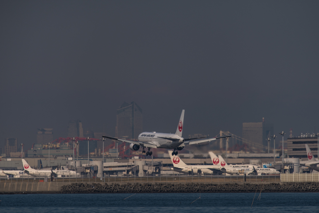20160116-114741-0-NIKON D810