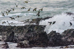 NIKON D7200-20150725-050755-0