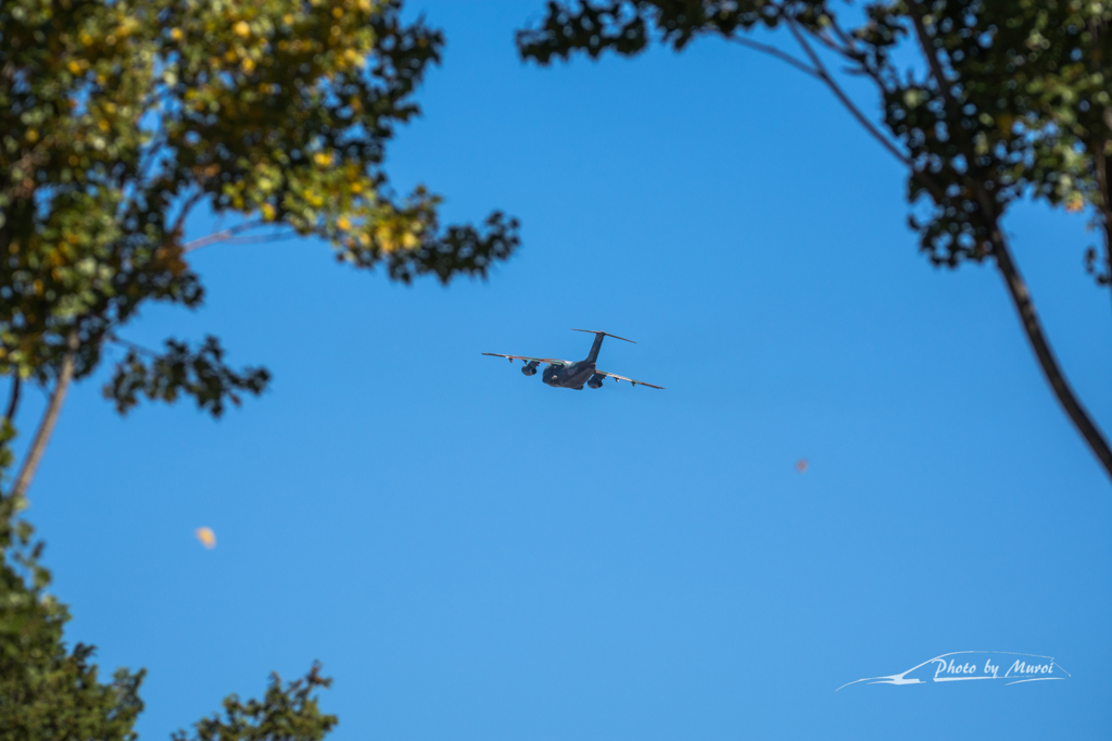 20151103-103134-0-NIKON D7200