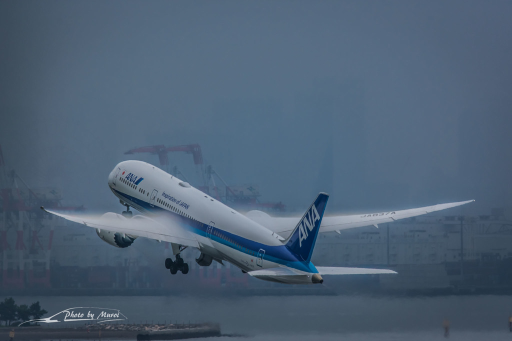 NIKON D7200-20150830-124723-0