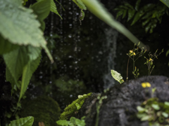 E-M5MarkII-20150625-101747-0