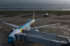 NIKON D810-20150815-064335-0
