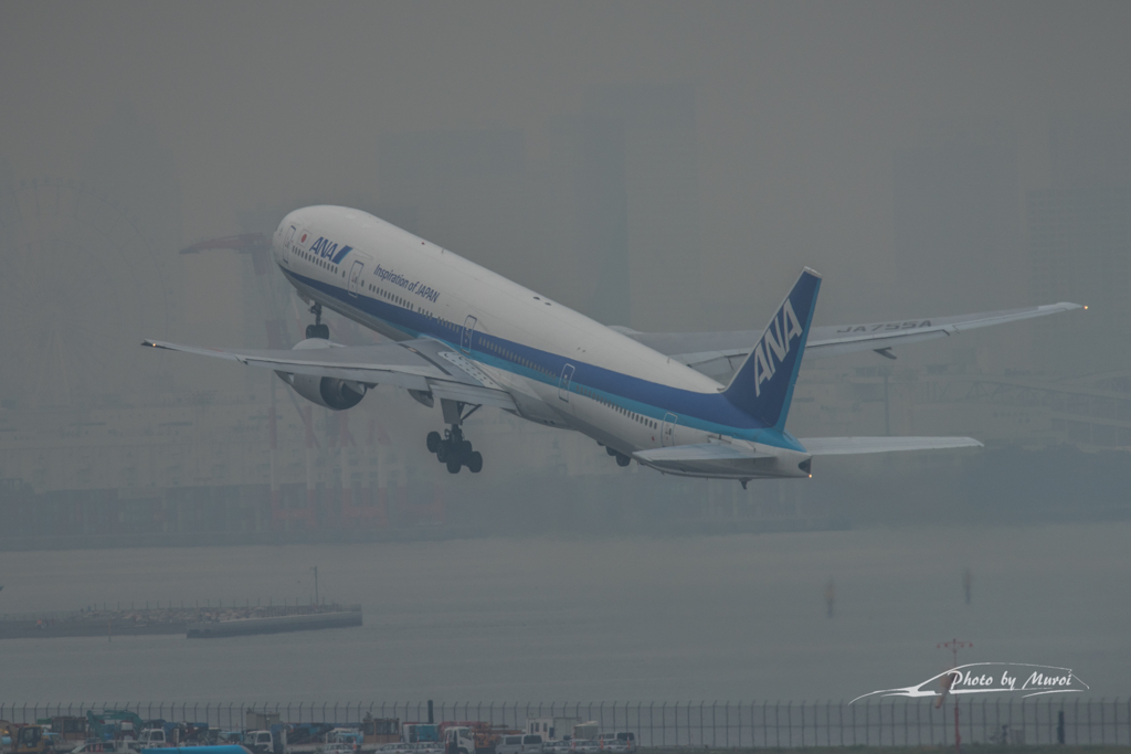 NIKON D810-20151010-112613-0