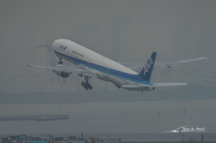NIKON D810-20151010-112613-0