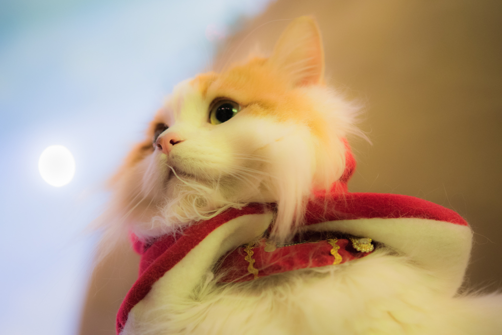 20151219-110431-0-NIKON D810