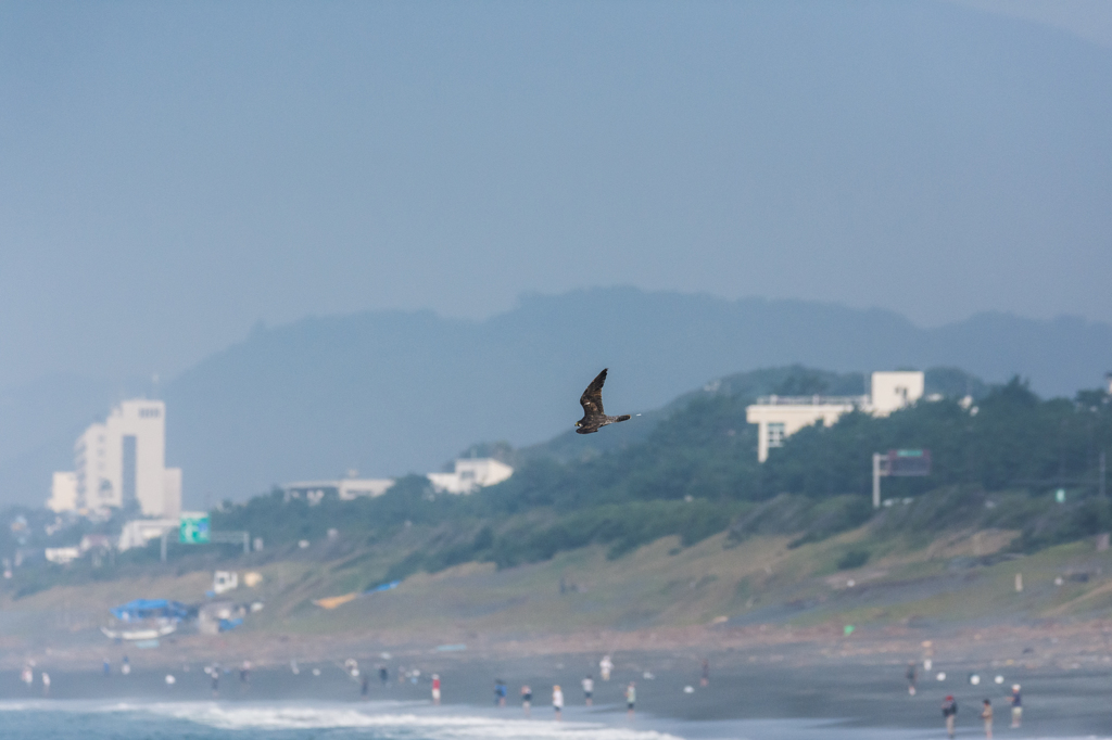 NIKON D7200-20150725-071738-0