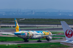 NIKON D7200-20150823-121646-0
