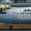 JAL B737