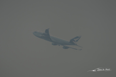 NIKON D810-20151010-110844-0