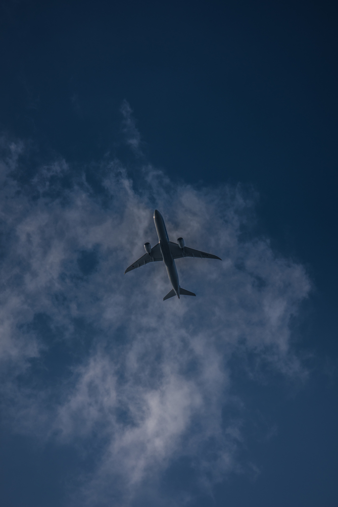 20151212-132438-0-NIKON D810