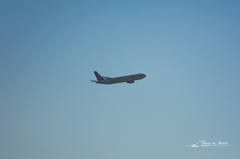 20151128-075018-0-NIKON D7200