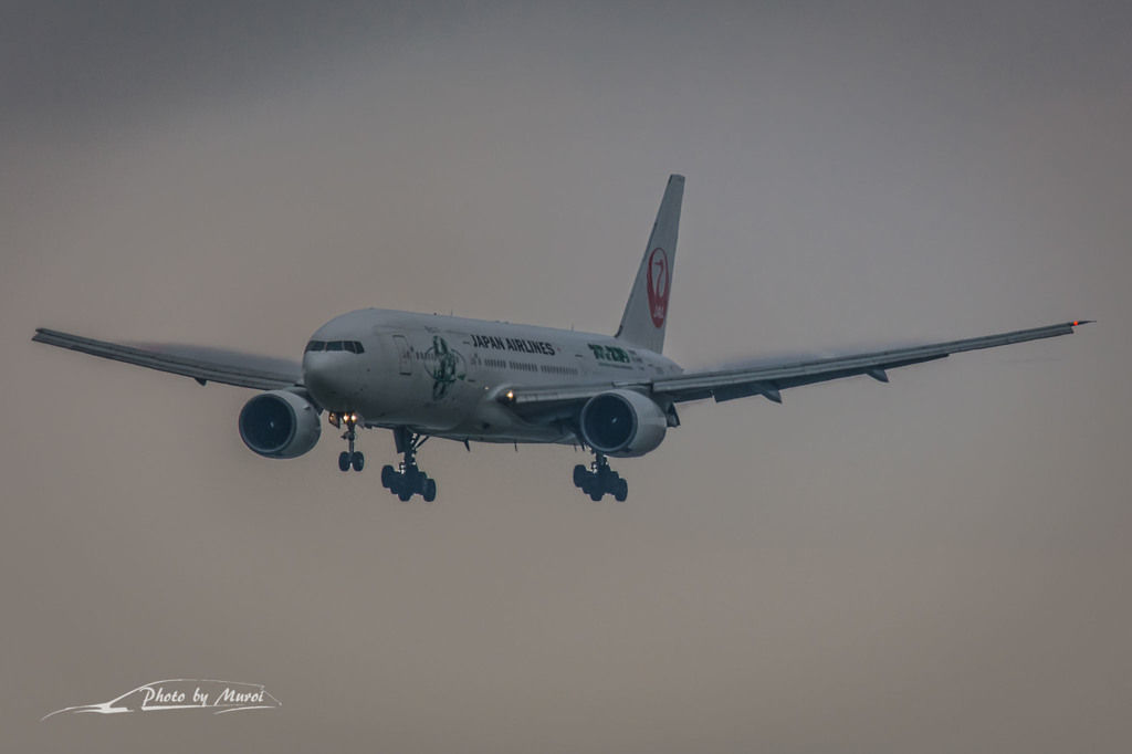 NIKON D7200-20150830-122600-0