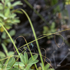 NIKON D810-20150822-094935-0