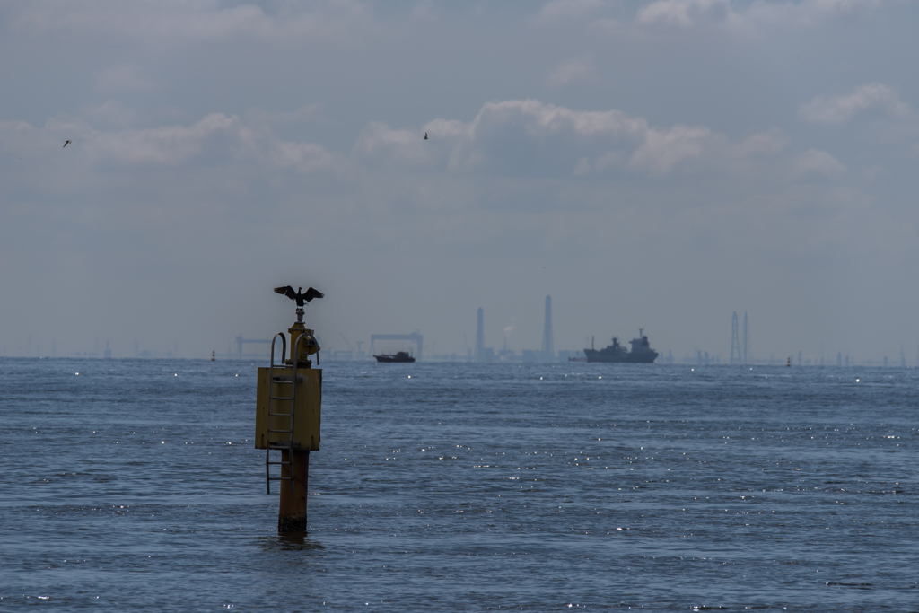 NIKON D810-20150620-085148-0