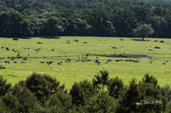 NIKON D810-20150920-092132-0