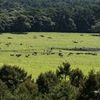 NIKON D810-20150920-092132-0