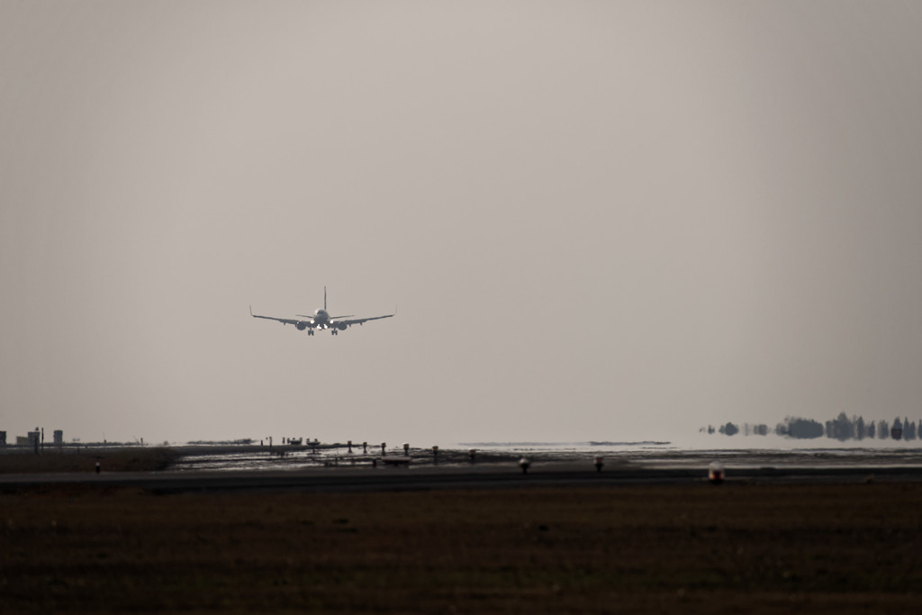 20151226-151719-0-NIKON D810