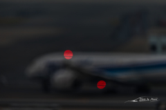 NIKON D810-20151010-114335-0
