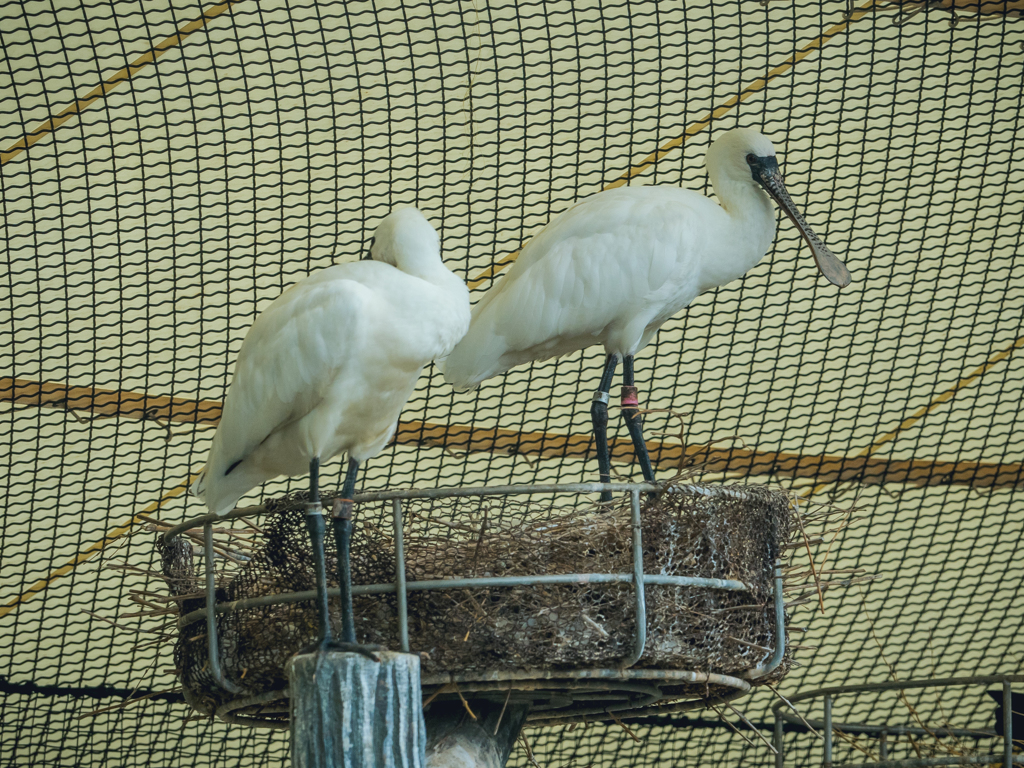 E-M5MarkII-20150814-105620-0