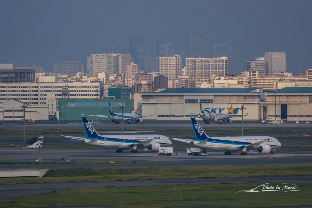 NIKON D7200-20151012-070517-0