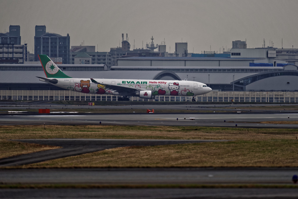 20151226-124144-0-NIKON D810
