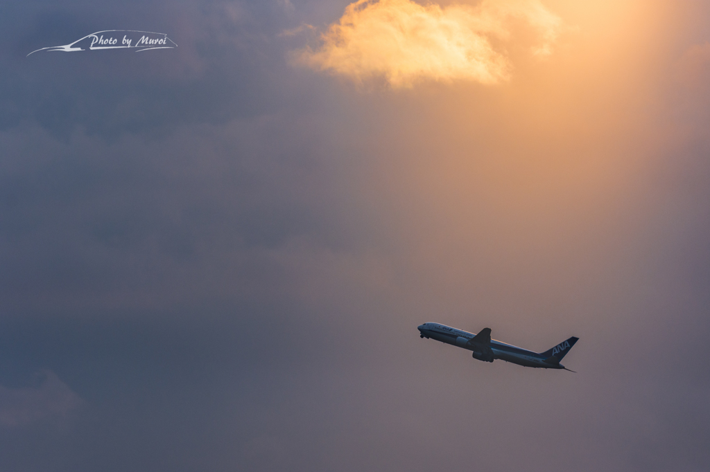 NIKON D7200-20151031-064647-0