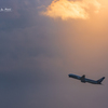 NIKON D7200-20151031-064647-0