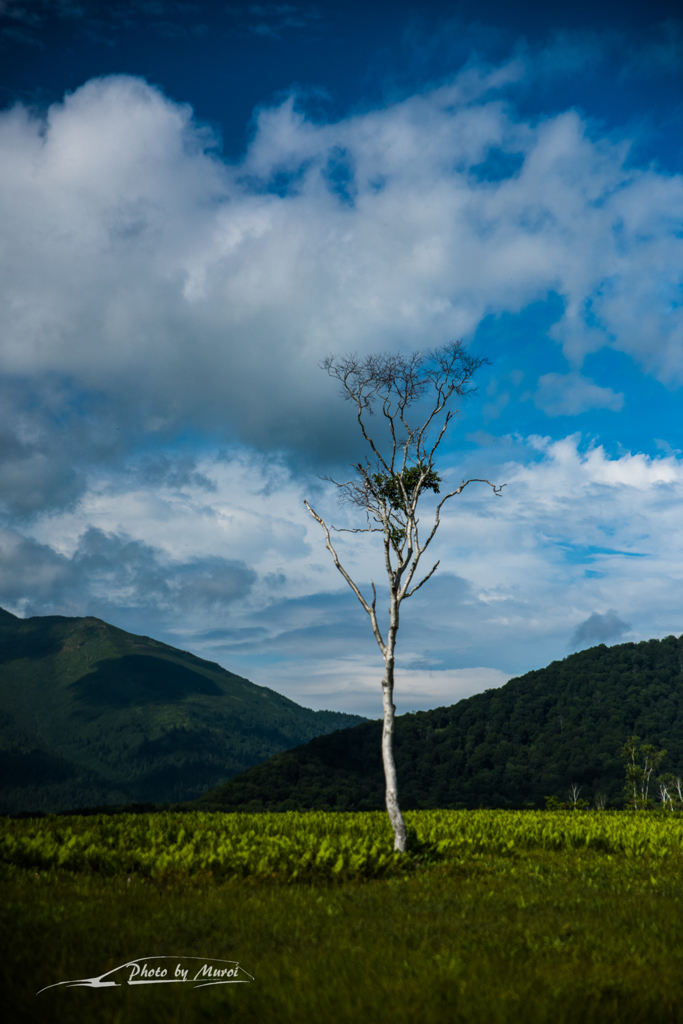 NIKON D810-20150822-090240-0