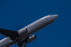 NIKON D810-20150620-100014-0