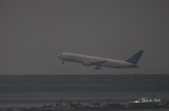 NIKON D810-20151010-103144-0