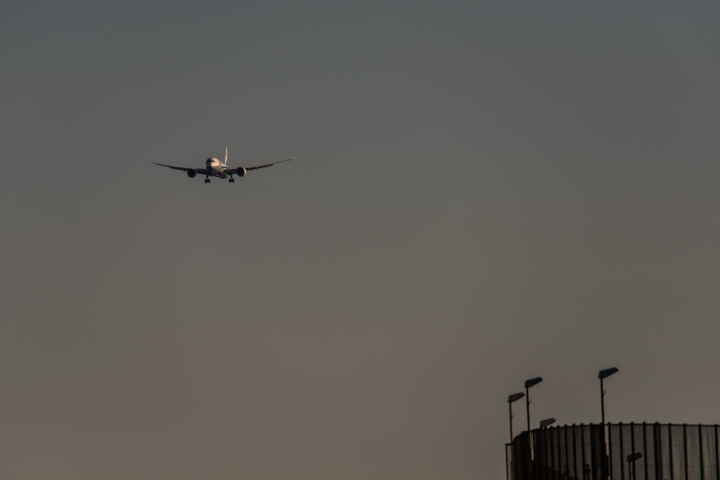 20151220-140341-0-NIKON D810
