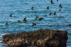 NIKON D7200-20150725-064736-0