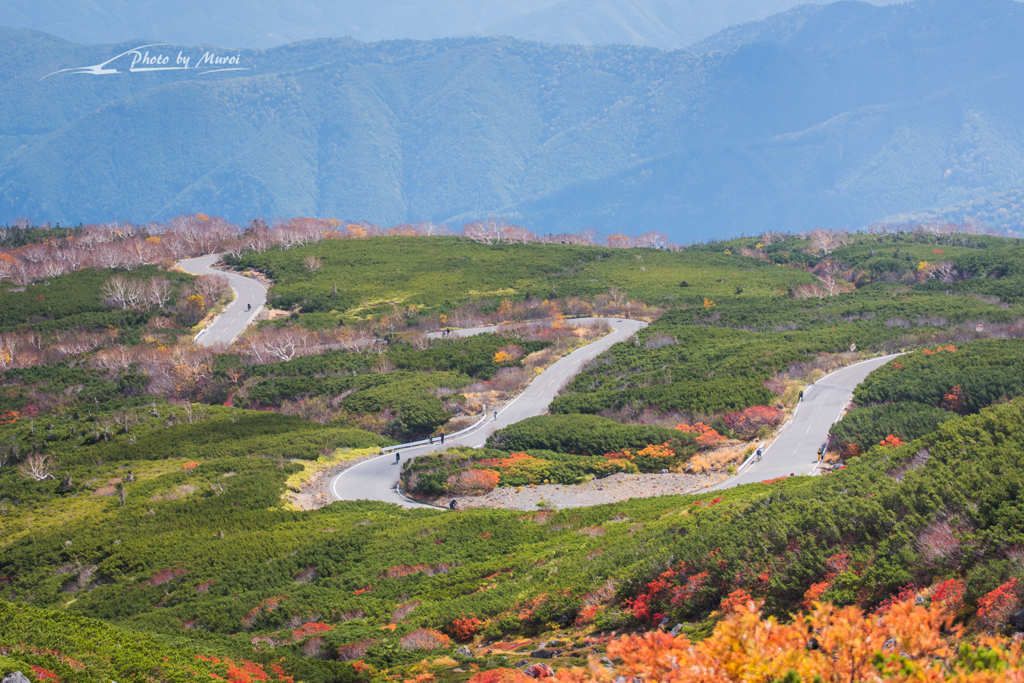 NIKON D810-20151004-104154-0