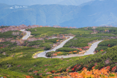 NIKON D810-20151004-104154-0