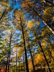 E-M5MarkII-20151025-073710-0