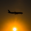 ニコンカレッジ20160124-165122-NIKON D810