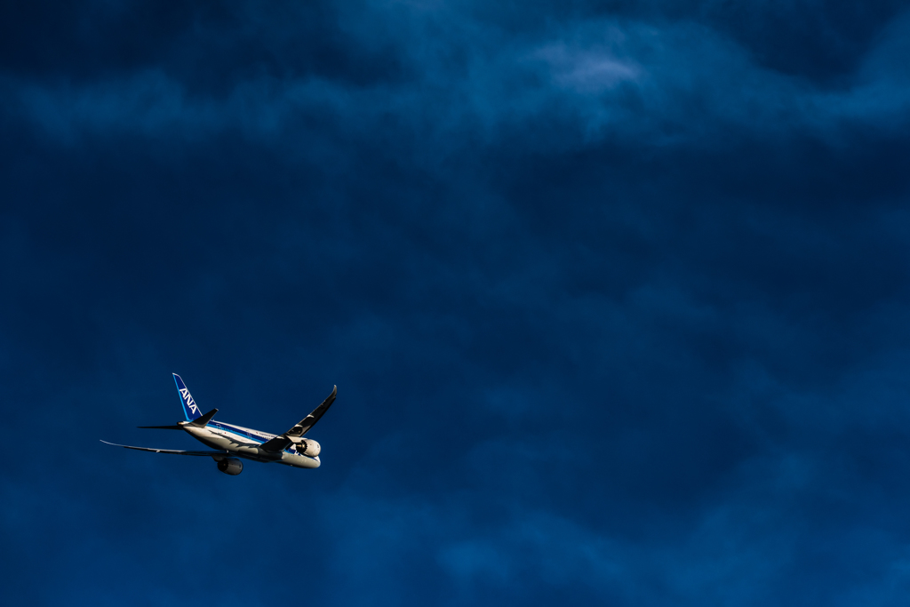 20151205-151135-0-NIKON D810